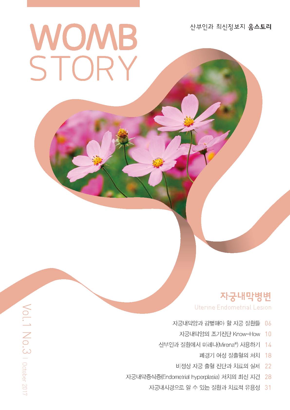 WombStory 3호_자궁내막병변