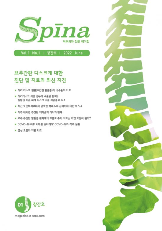 Spina 1호 – 요추간판 디스크에 대한 진단 및 치료의 최신 지견