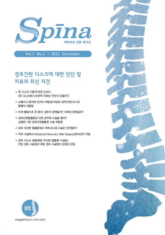 Spina 2호 – 경추간판 디스크에 대한 진단 및 치료의 최신 지견