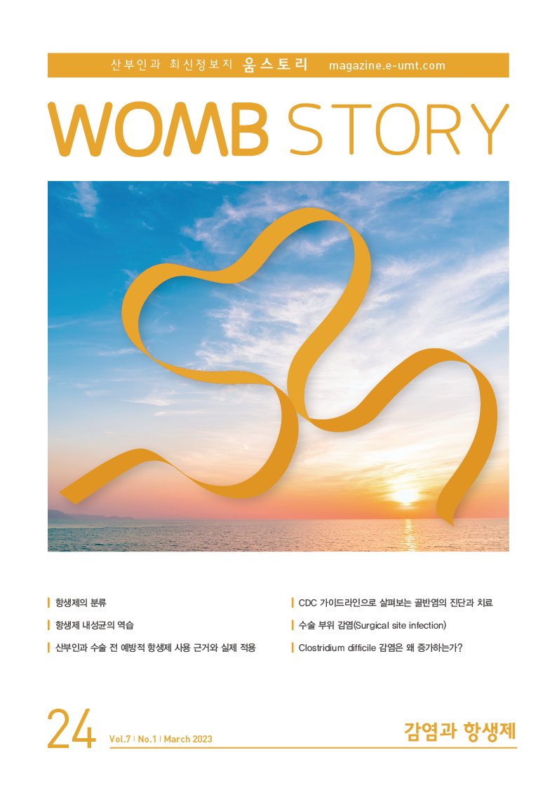 Womb Story 24호 – 감염과 항생제