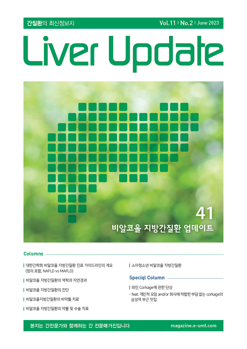 Liver Update 41호 – 비알코올 지방간질환 업데이트