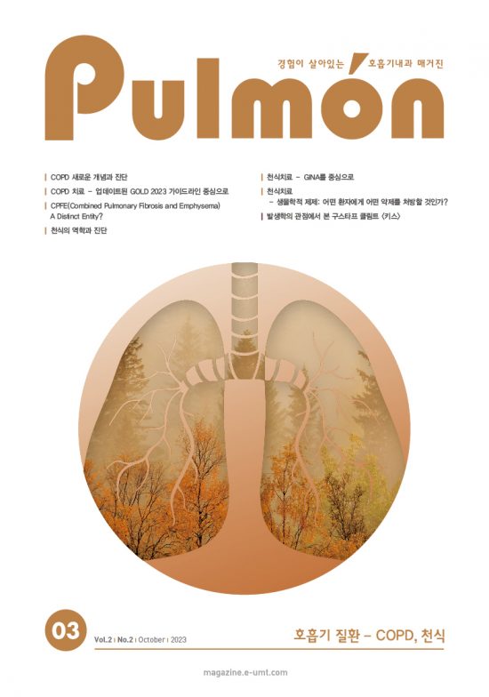 Pulmon 3호 – 호흡기 질환 – COPD, 천식